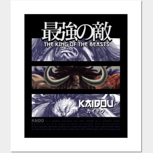 Kaidou Posters and Art